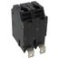 Q-Line THQB Series 2 Pole Bolt-On Circuit Breaker (120/240V, 30A)