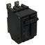 Q-Line THQB Series 2 Pole Bolt-On Circuit Breaker (120/240V, 40A)