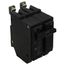 Q-Line THQB Series 2 Pole Bolt-On Circuit Breaker (120/240V, 60A)