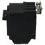 Q-Line THQB Series 2 Pole Bolt-On Circuit Breaker (120/240V, 60A)