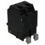 Q-Line THQB Series 2 Pole Bolt-On Circuit Breaker (120/240V, 60A)