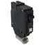 Q-Line THQL Series Arc Fault Single Pole Combination Circuit Breaker (120/240V, 15A)