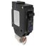 Q-Line THQL Series Single Pole Dual Function Circuit Breaker (120V, 15A)