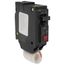 Q-Line THQL Series GFCI Single Pole Plug-In Circuit Breaker (120/240V, 20A)