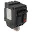 Q-Line THQL Series GFCI 2 Pole Plug-In Circuit Breaker (120/240V, 30A)