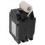 Q-Line THQL Series GFCI 2 Pole Plug-In Circuit Breaker (120/240V, 30A)
