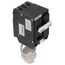 Q-Line THQL Series GFCI 2 Pole Plug-In Circuit Breaker (120/240V, 40A)