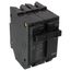 Q-Line THQL Series 2 Pole Plug-In Circuit Breaker (120/240V, 60A)