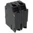 Q-Line THQL Series 2 Pole Plug-In Circuit Breaker (120/240V, 60A)