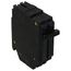 Q-Line THQP Series 2 Pole Plug-In Circuit Breaker (120/240V, 50A)