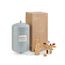 TK60 Boiler Trim Kit w/ 1-1/2" FNPT Air Eliminator & Double-Check Backflow Preventer, TK60PV150NK