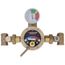 1" FPT Inlet x 1-1/4" Outlet Emergency Water Mixing Valve for Eye/Face Wash Units (3 to 64 GPM)