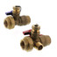 Lead Free Isolation & Pressure Relief Valves, 1" FNPT x FNPT (T-M50)