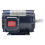 2 HP 200v General Purpose Motor, 3 PH, 1730 RPM, 145T Frame, ODP