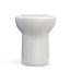 Drake Elongated Universal Height TORNADO FLUSH Toilet Bowl with CEFIONTECT, Colonial White - C776CEFG#11