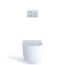 RP Wall-Hung D-Shape Toilet and DuoFit In-Wall 1.28 and 0.9 GPF Dual-Flush Tank System with Copper Supply, Matte Silver - CWT447247CMFG#MS