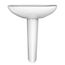 LPT242.8G#01 Prominence Oval Basin Pedestal Bathroom Sink w/ CEFIONTECT for 8" Center Faucets (Cotton White)