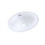 LT641#01 Dartmouth 18-3/4" x 13-3/4" Oval Undermount Bathroom Sink (Cotton White)