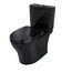 Aquia IV Two-Piece Elongated Dual Flush 1.28 and 0.9 GPF Universal Height Toilet, WASHLET+ Ready, Ebony - MS446124CEMFN#51