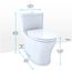 Aquia IV One-Piece Elongated Dual Flush 1.28 and 0.9 GPF Universal Height, WASHLET+ Ready Toilet, Ebony- MS646124CEMFN#51