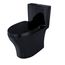 Aquia IV One-Piece Elongated Dual Flush 1.28 and 0.9 GPF Universal Height, WASHLET+ Ready Toilet, Ebony- MS646124CEMFN#51