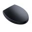 Softclose, Slow Close Elongated Toilet Seat And Lid, Ebony - SS114#51