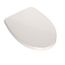 Softclose, Slow Close Elongated Toilet Seat And Lid, Colonial White - SS124#11