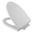 Soirée Softclose, Slow Close Elongated Toilet Seat And Lid, Colonial White - SS214#11