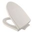 Soirée Softclose, Slow Close Elongated Toilet Seat And Lid, Sedona Beige - SS214#12
