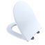 Softclose Slim D-shape  Seat And Lid For Rp Wall-hung Toilet, Cotton White - SS247R#01