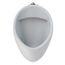 Wall-Mount ADA Compliant 0.125 GPF Urinal with Top Spud Inlet and CEFIONTECT Glaze, Cotton White - UT105UG#01
