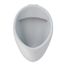 Wall-Mount ADA Compliant 0.125 GPF Urinal with Back Spud Inlet, Cotton White - UT105UV#01