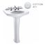 LPT642#01 Dartmouth Pedestal Lavatory Sink, 1 Hole (Cotton White)