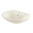 LT241G#01 Supreme 1 Hole Wall Mount Lavatory Sink w/ CEFIONTECT (Cotton White)