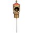 T&P Relief Valve, MNPT x FNPT, 4" Probe, Set at 175