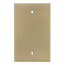 1-Gang Blank Wall Plate, Box Mounted - Ivory