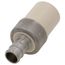 1/2" CTS Transition Adapter (Socket x SS Pex Barb)