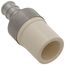 1/2" CTS Transition Adapter (Socket x SS Pex Barb)