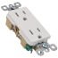 Tamper-Resistant Decorator Spec Grade, Back & Side Wired Receptacle, 15A - White (125V)