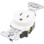 Tamper-Resistant Construction Spec Grade, Back & Side Wired Single Receptacle, 15A, 2P - White (125V)