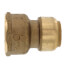 3/4" Sharkbite x 1" Female Reducing Adapter (Lead Free)