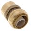 1" Sharkbite x Female Adapter (Lead Free)