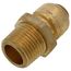 1/4" SharkBite x 1/2" Male Pipe Thread Reducing Connector (Lead Free), U110LFA
