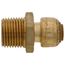1/4" SharkBite x 1/2" Male Pipe Thread Reducing Connector (Lead Free), U110LFA