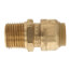 1/2" x 1/2" Sharkbite Pipe to Male Pipe Thread Connector (Lead Free)