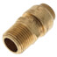 1/2" x 1/2" Sharkbite Pipe to Male Pipe Thread Connector (Lead Free)