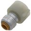 1/4" (3/8" OD) x 7/8" SharkBite Ballcock Toilet Reducing Connector (Lead Free), U3531LFA