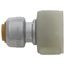 1/4" (3/8" OD) x 7/8" SharkBite Ballcock Toilet Reducing Connector (Lead Free), U3531LFA