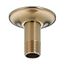 U4996-CZ Ceiling Mount Shower Arm & Flange (Champagne Bronze)
