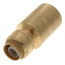 1/2" SharkBite x 1" CTS Fitting Reducer (Lead Free)
